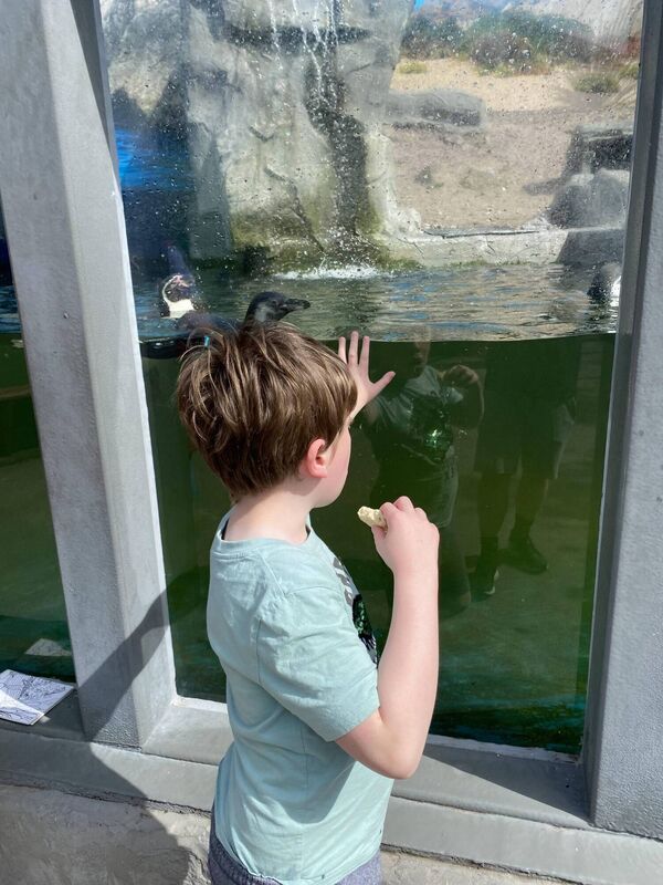 Jacob's autism brings with it a whole series of challenges that are often interconnected.