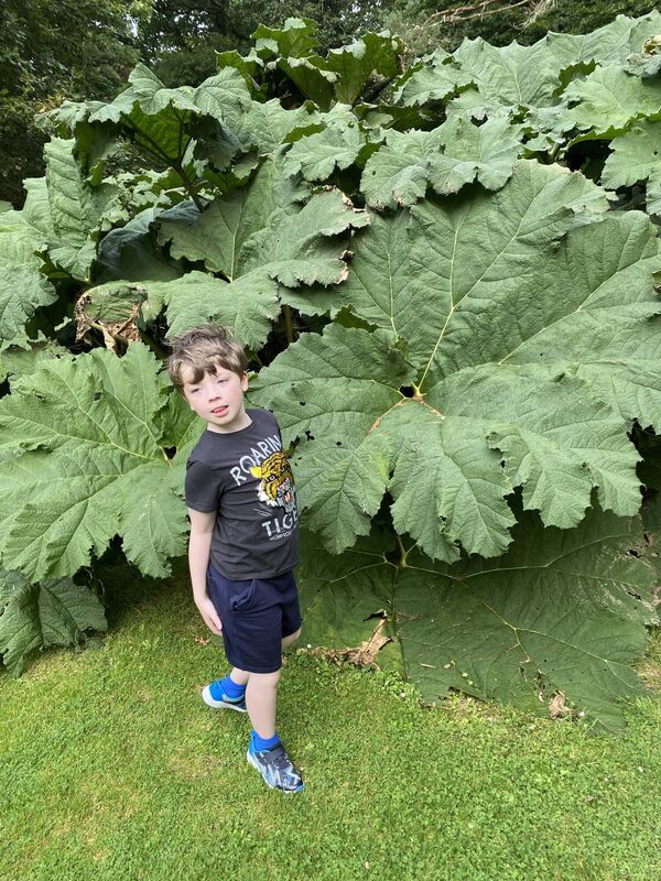 Jacob has had no State services for years.