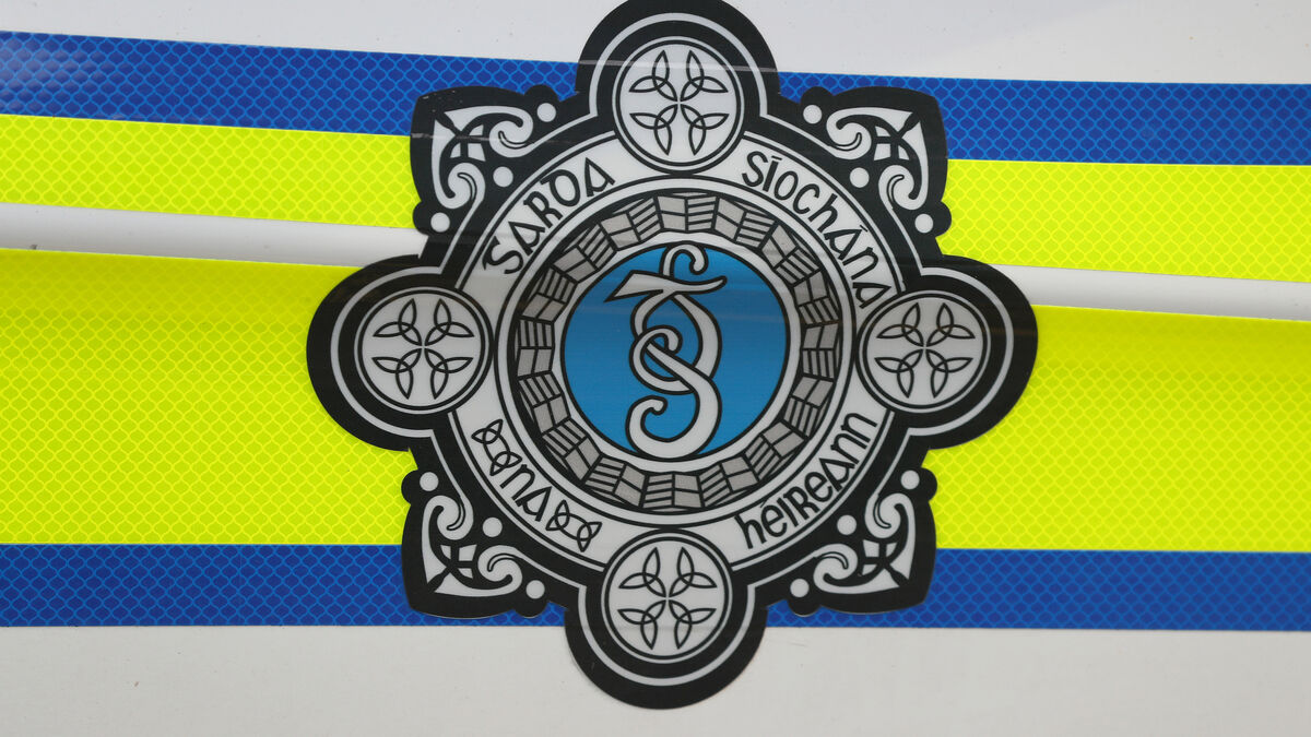 Nine in court after public order incident in Dublin - Vimarsana News
