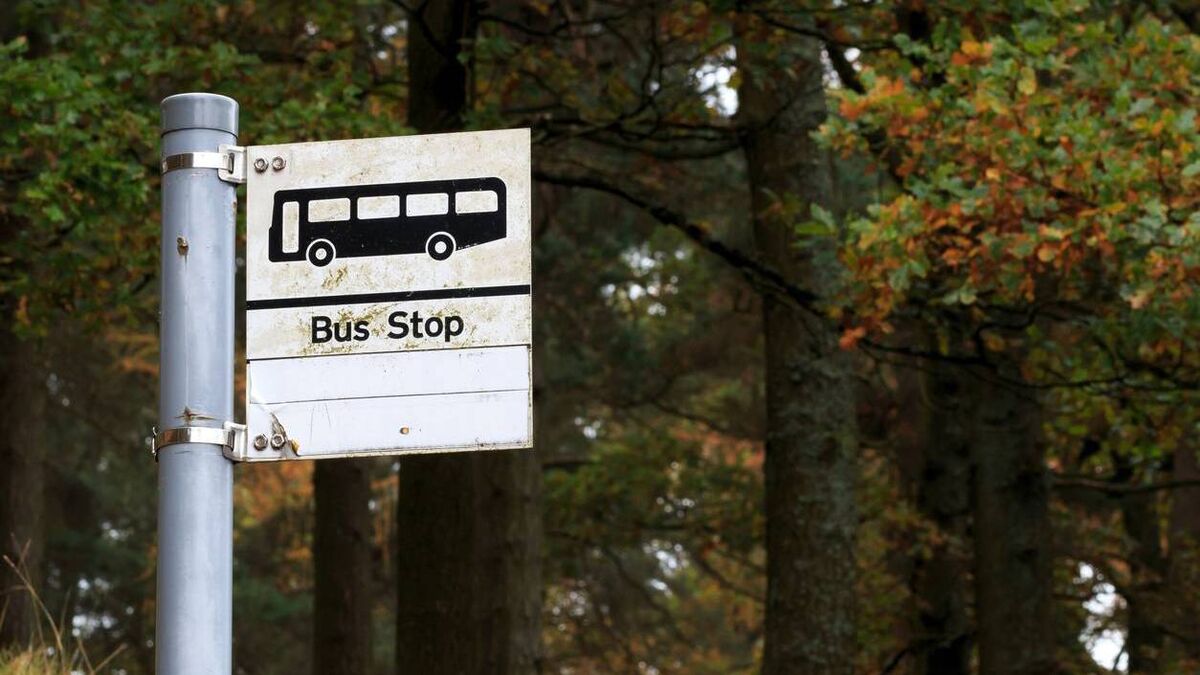 Denis Lehane: A bus run for rural love - Vimarsana News