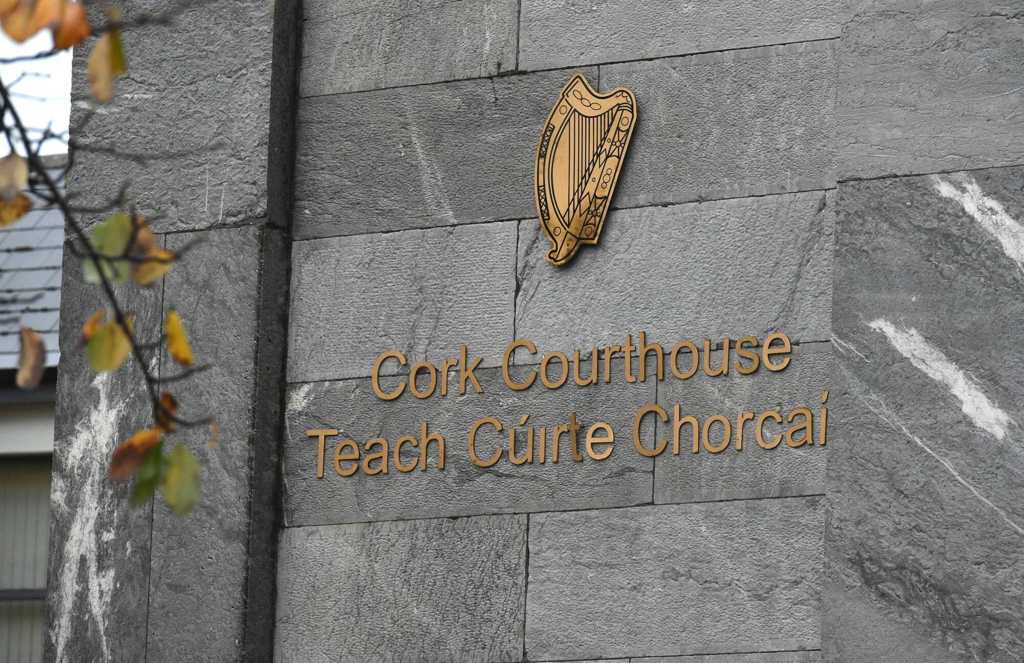 The accused spoke up from prison where he appeared by video link to Cork District Court: 'I have not done anything illegal — why am I in jail?' Picture: Larry Cummins
