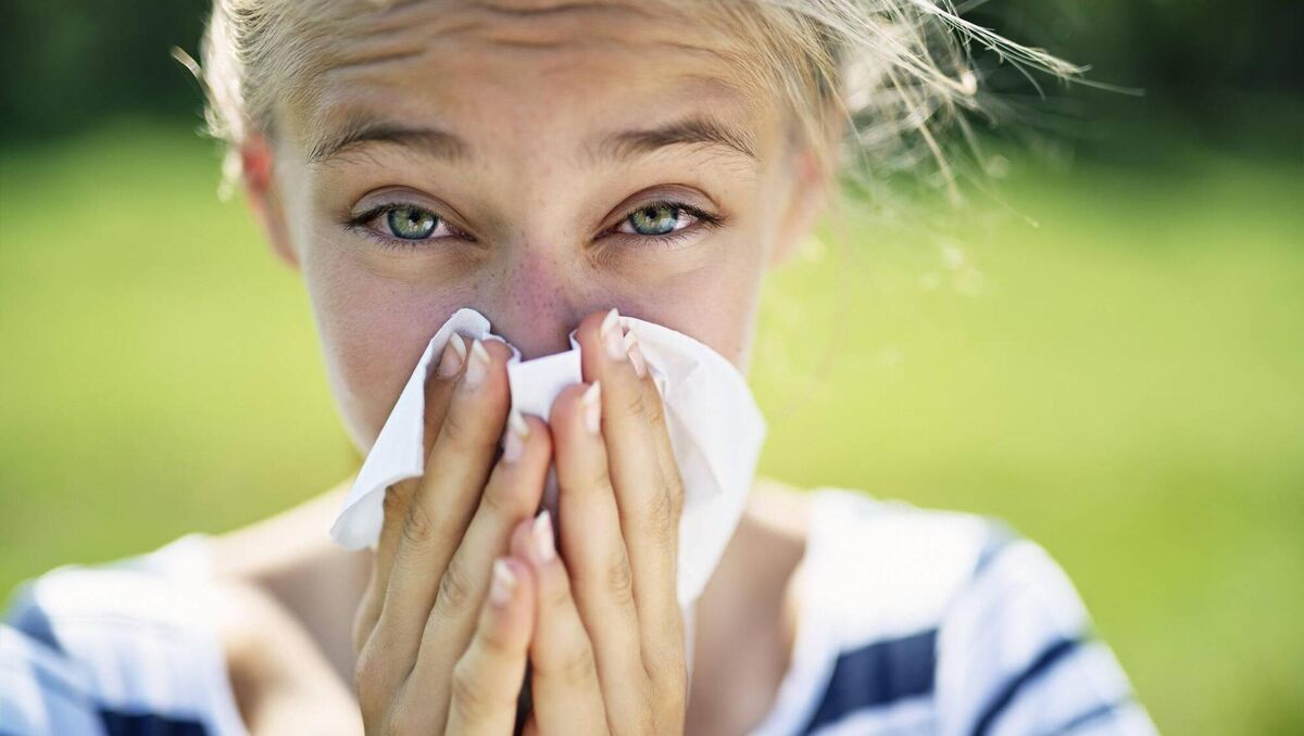The majority of those with hay fever are allergic to grass pollen. Picture: iStock The majority of those with hay fever are allergic to grass pollen. Picture: iStock