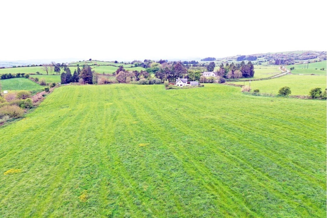 Quality farm in West Cork guided at €13,000-€15,000 an acre