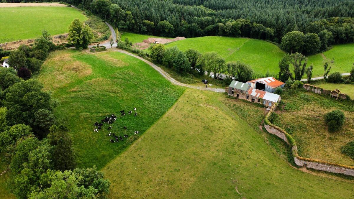 The man that commissioned RTE's Cheap Irish Homes is selling his own version - Vimarsana News