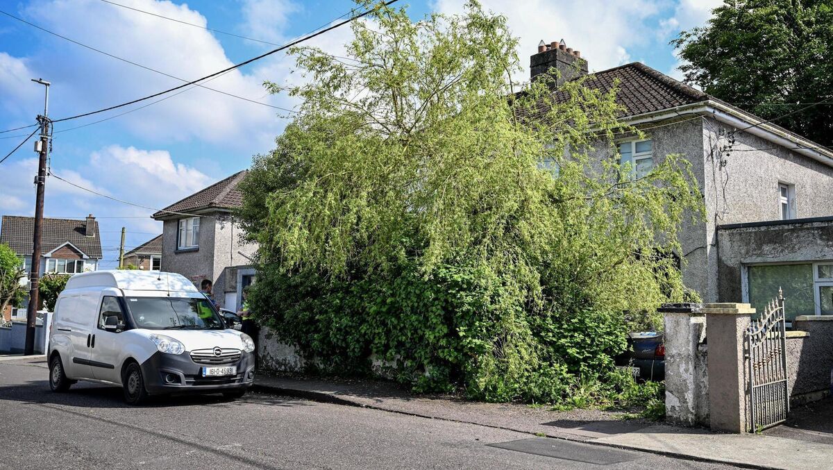 The overgrown garden at the front of 13 Brookfield Lawn in Cork City covered a multitude — including the passing of Joyce O’Mahony, whose remains may have lain in her home for 18 months after her death. Picture: Chani Anderson The overgrown garden at the front of 13 Brookfield Lawn in Cork City covered a multitude — including the passing of Joyce O’Mahony, whose remains may have lain in her home for 18 months after her death. Picture: Chani Anderson