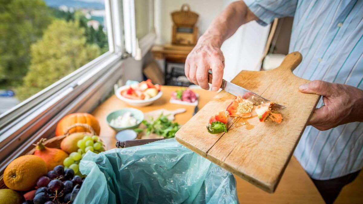 The rising movement to fight against food waste in Ireland - Vimarsana News