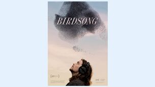 <p>Birdsong: For birdwatchers, the ability to identify the calls of various species, to ‘decode’ the secret language of birds, is key to identifying species and understanding behaviour</p>