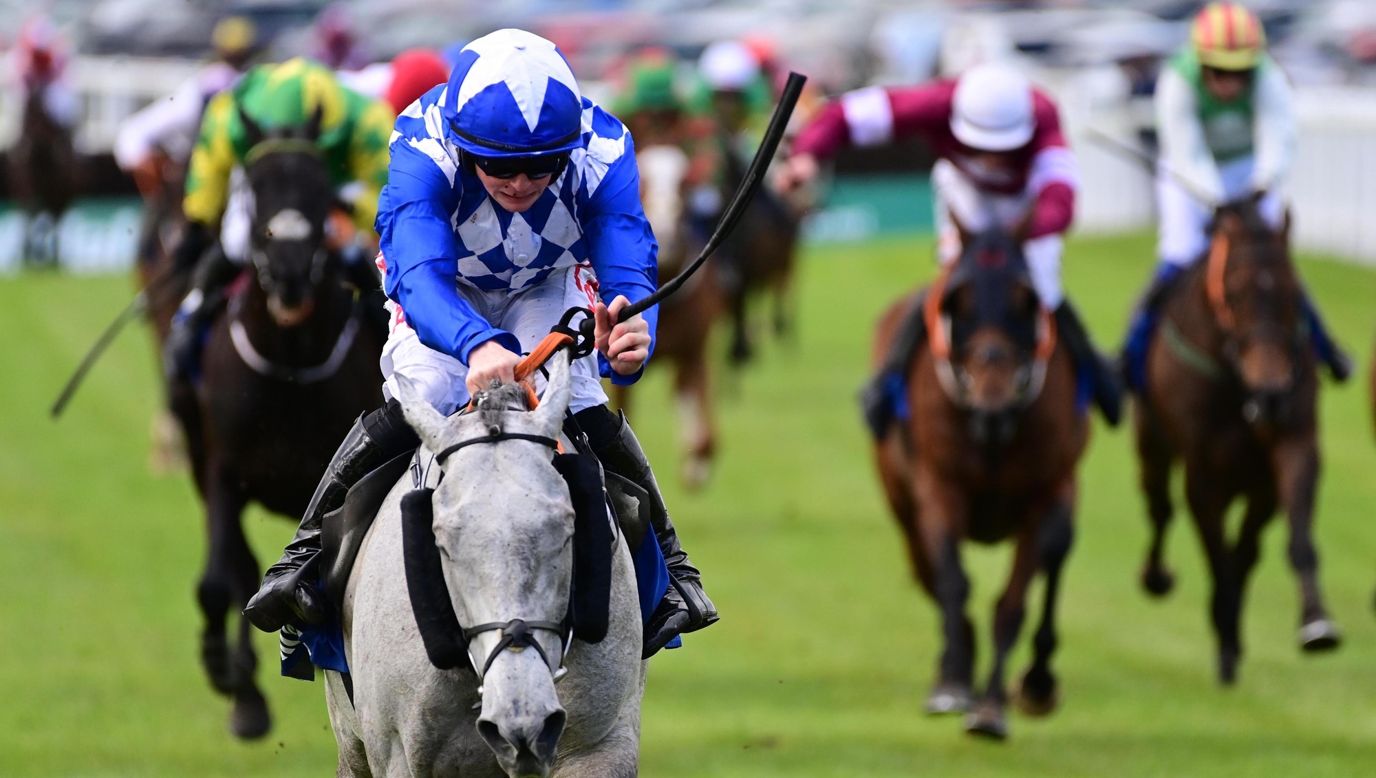 Duffle Coat finally gets his day in the sun by winning Mayo National 