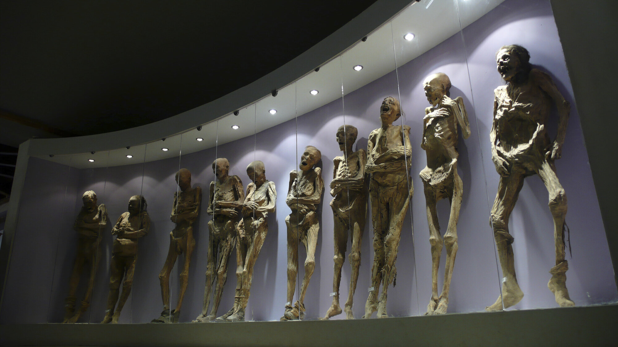 Fury at Mexican government after ancient mummy loses arm in renovation bungle