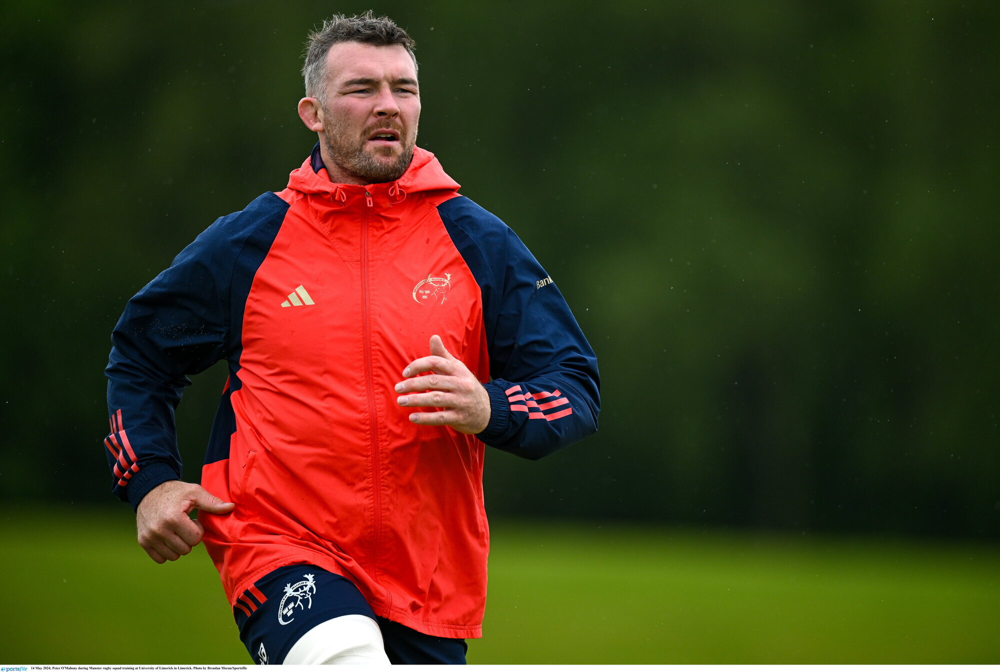 Carbery, Hodnett and O’Mahony back in mix for Munster