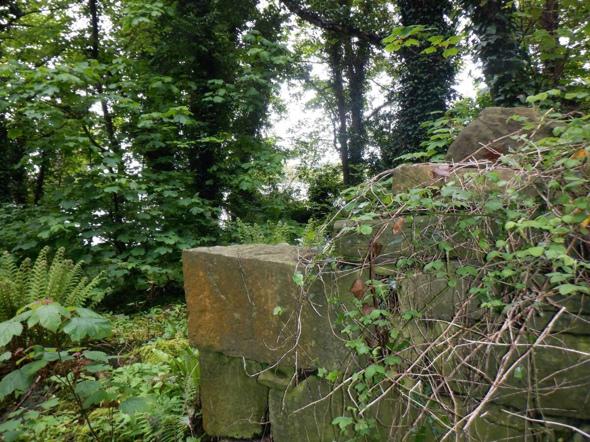 Ruins of church on Parsons Island, Lough Cutra, County Galway. Picture: Dan MacCarthy
