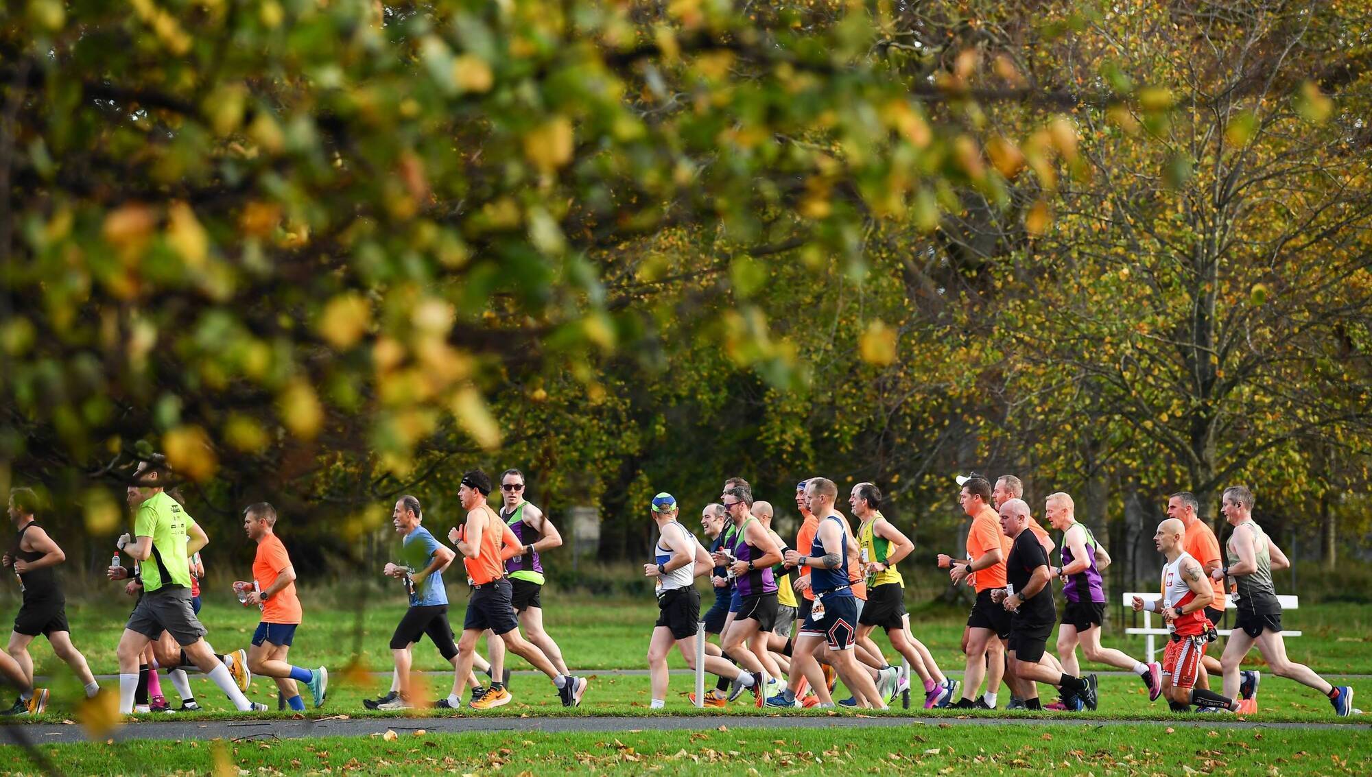 Nearly two million adults in Ireland participating in sport every week