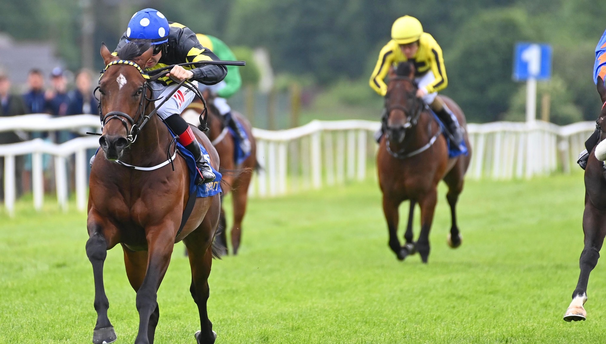 Double delight for Keane at Tipperary as Evening Saigon stakes Royal Ascot claim 