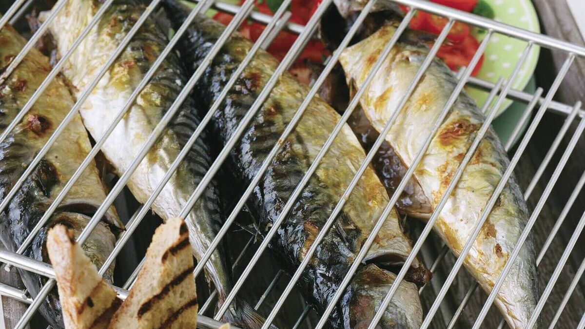 Grilled Mackerel with Three Tomato Salad & Bruschetta