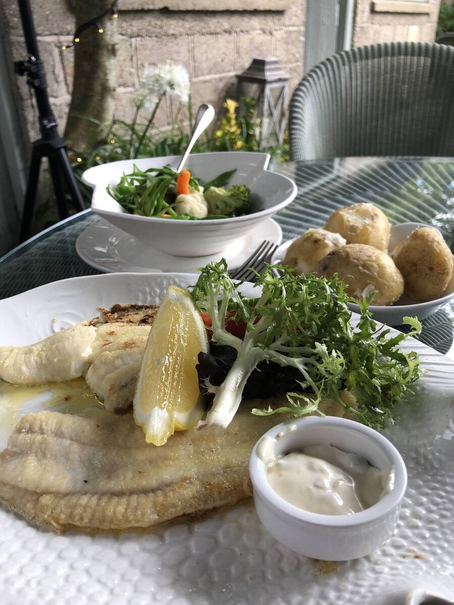 Whitehorses in Ardmore Whitehorses in Ardmore