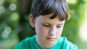 <p>"One of the ways our children learn to strengthen and enhance their capacity to self-regulate their emotions is to experience a full range of emotions, including the more challenging feelings."</p>