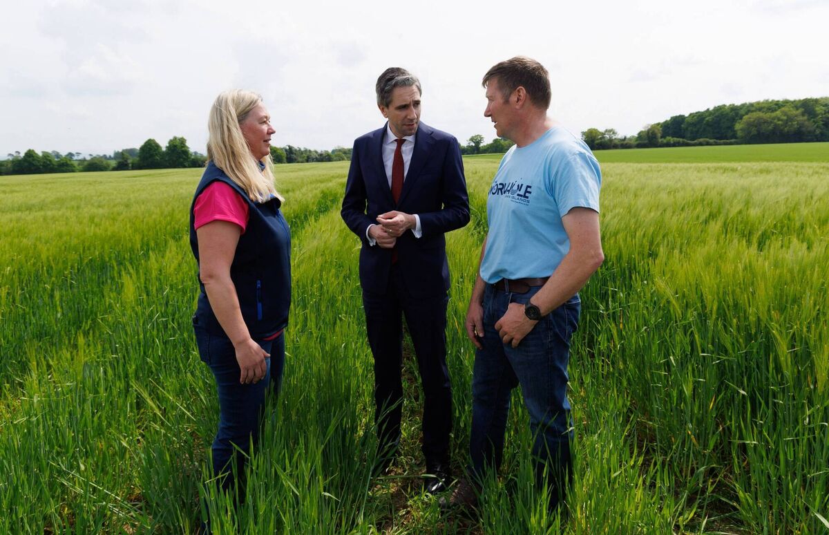 An Taoiseach Simon Harris, with Philip and Helen Harris standing in a field of Winter Barley on their farm in Irishtown, Clane, County Kildare. Fine Gael’s National Agricultural, Food, and Rural Development Forum (NAFRD) presented An Taoiseach Simon Harris with a plan to create a new partnership with farmers for his consideration. Picture: Damien Eagers An Taoiseach Simon Harris, with Philip and Helen Harris standing in a field of Winter Barley on their farm in Irishtown, Clane, County Kildare. Fine Gael’s National Agricultural, Food, and Rural Development Forum (NAFRD) presented An Taoiseach Simon Harris with a plan to create a new partnership with farmers for his consideration. Picture: Damien Eagers