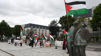 Cork pro-Palestinian protest accuses council of inaction on 'apartheid-free zone'