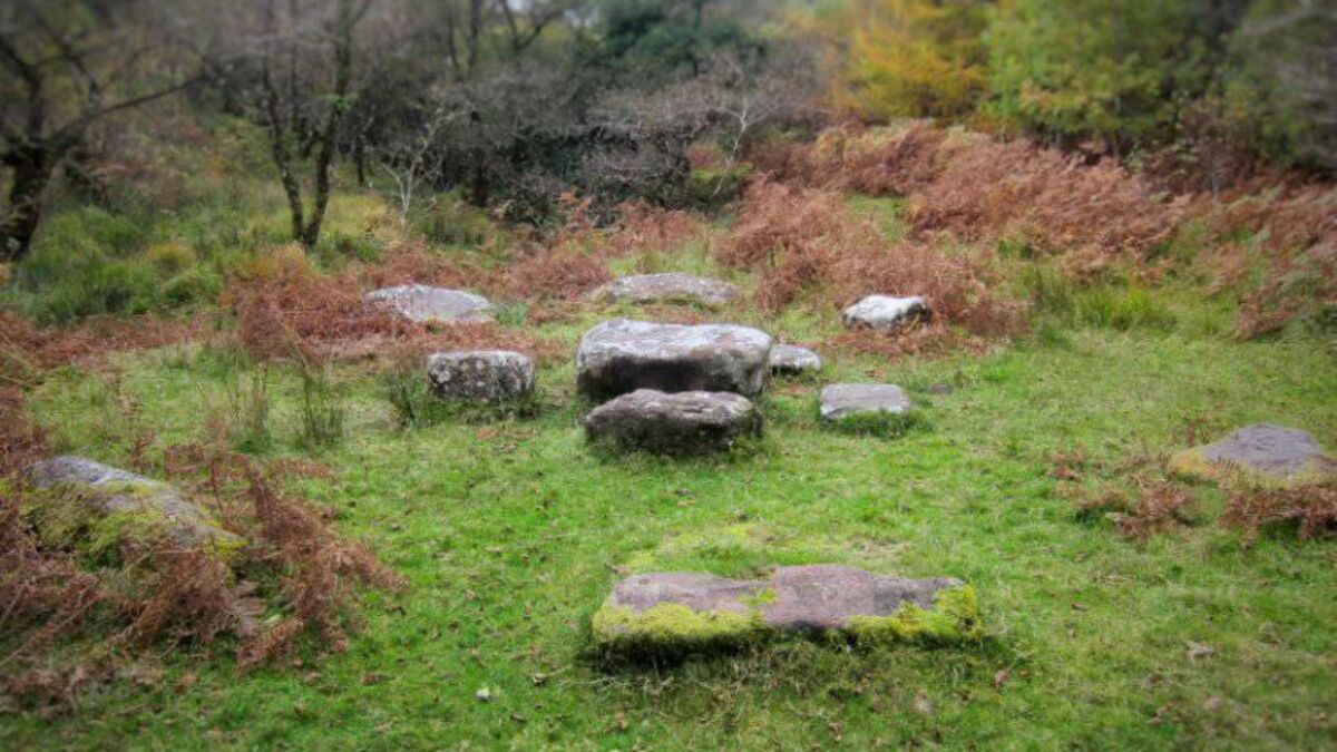 Clodagh Finn: Queen Scotia, the daughter of an Egyptian pharaoh who went to war outside Tralee - Vimarsana News