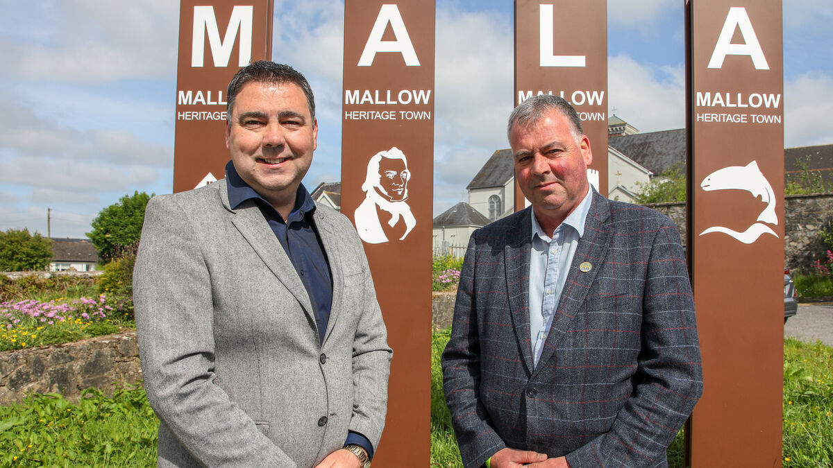 Local elections: Everything you need to know about the Kanturk/Mallow constituency - Vimarsana News