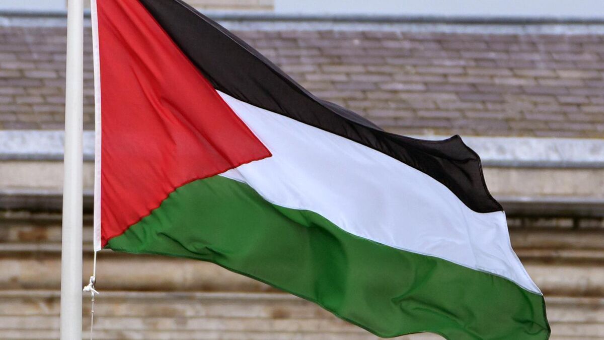 Séamas O'Reilly: Israel long ago realised attempting to defend their actions is unnecessary - Vimarsana News