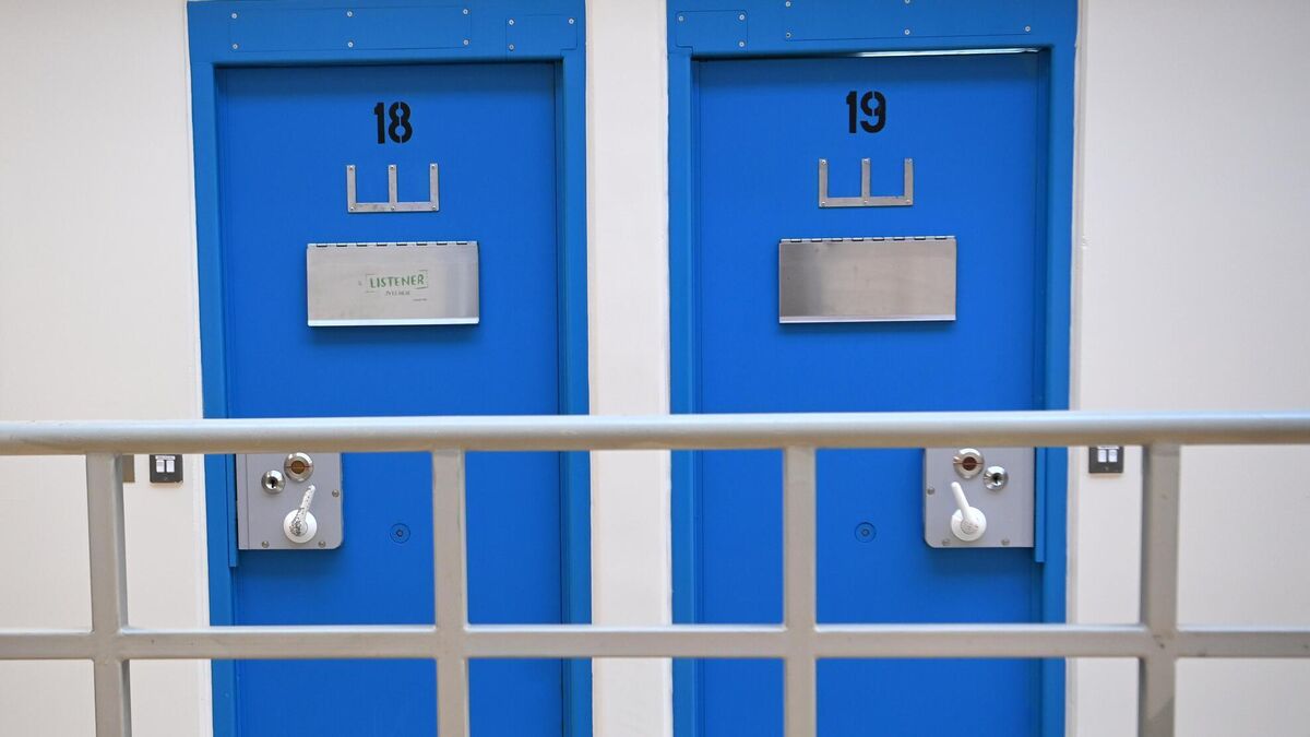Judge tells Cork prisoner with long history of burglaries to 'stick to the art' - Vimarsana News