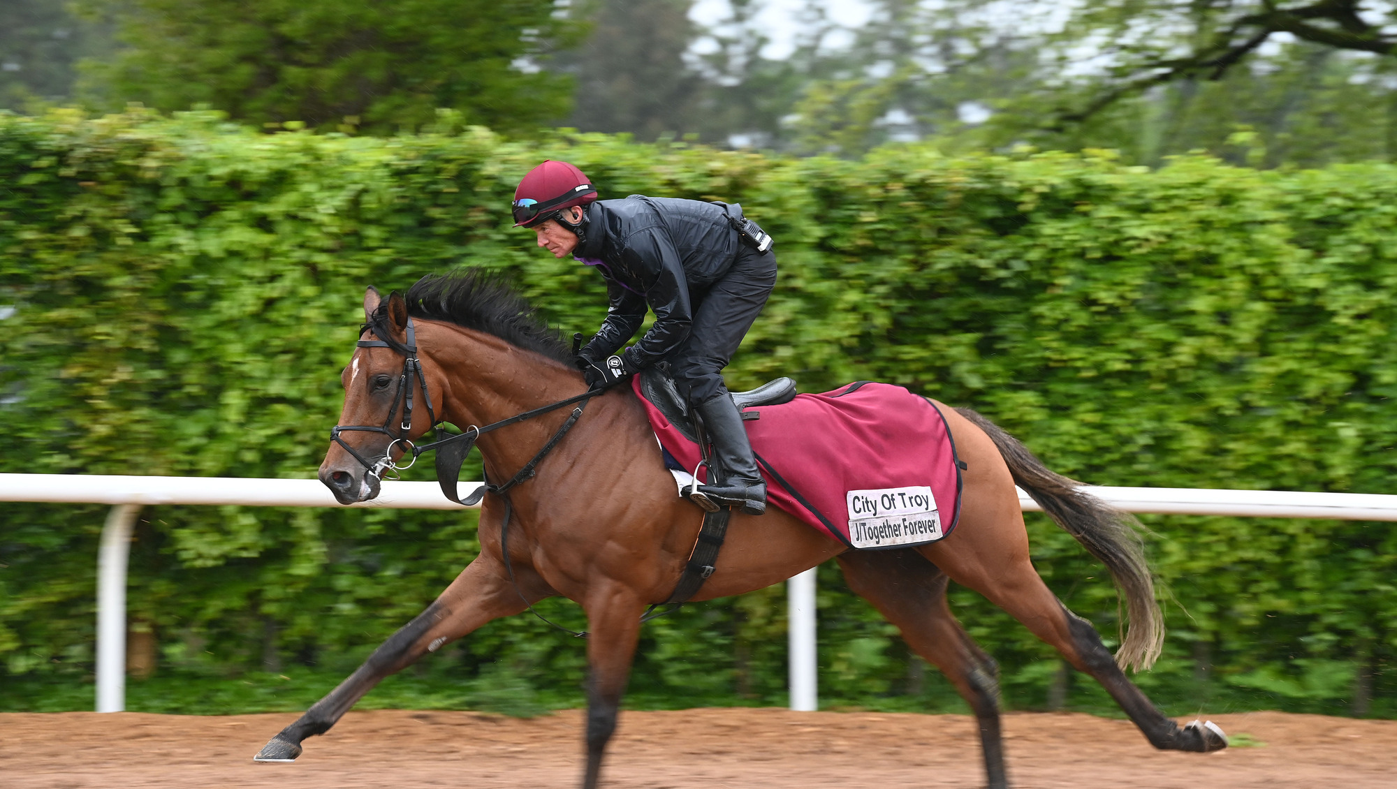 Darren Norris: Epsom Derby revolves around City of Troy