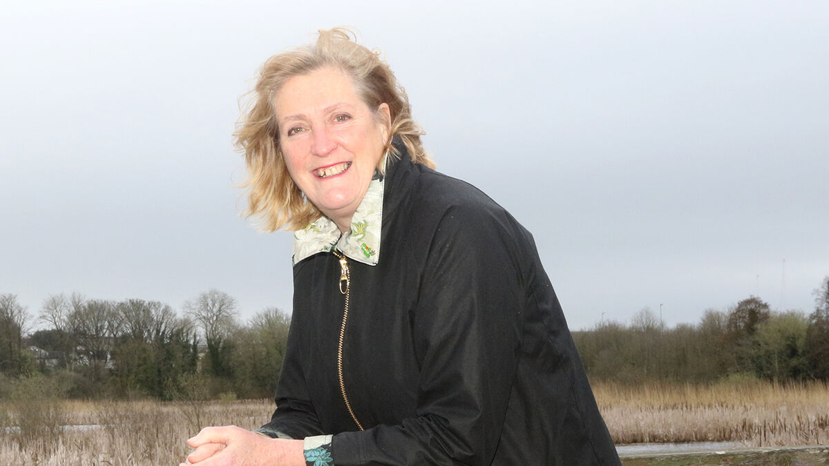 Mick Clifford: Will Limerick lead the way or lick its wounds with mayoral post? - Vimarsana News