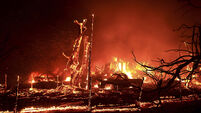 California firefighters battle wind-driven wildfire east of San Francisco