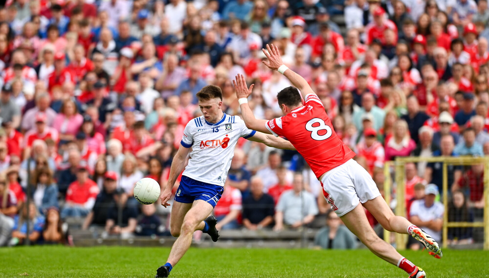 Monaghan come from five down to share the spoils with Louth