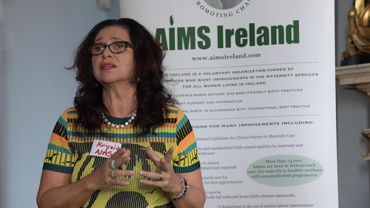 Aims Ireland chair Krysia Lynch said there were similarities between the Irish and English maternity systems, particularly around low staffing numbers which could lead to pressures. Picture: Moya Nolan