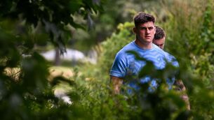 <p>Dan Sheehan during Leinster Rugby squad training at UCD in Dublin. Photo by Ramsey Cardy/Sportsfile</p>