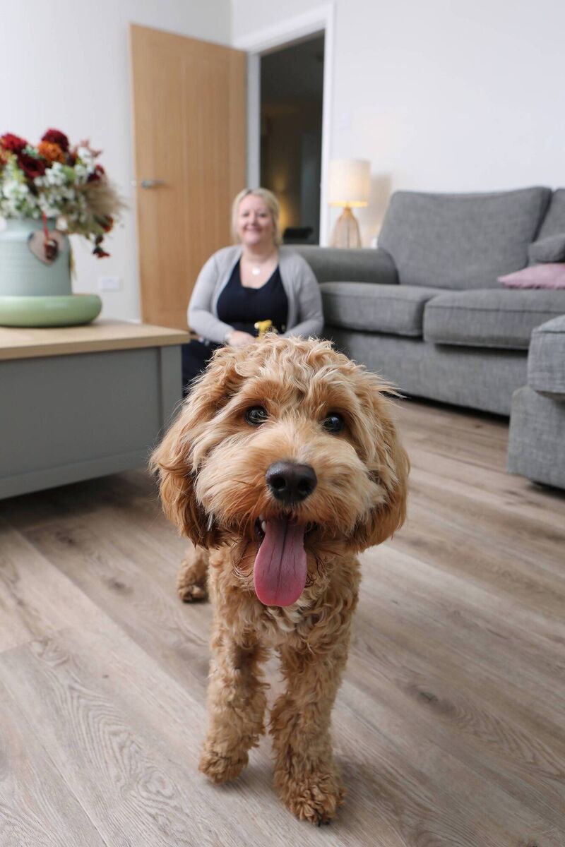Arthur, a six month old Cockapoo, had been paralysed for two days after all of his limbs suddenly became weak, meaning he collapsed and could not walk