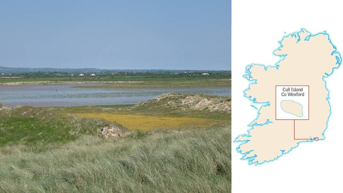 Islands of Ireland: Best leave Cull Island to the birds — view it from the mainland - Vimarsana News