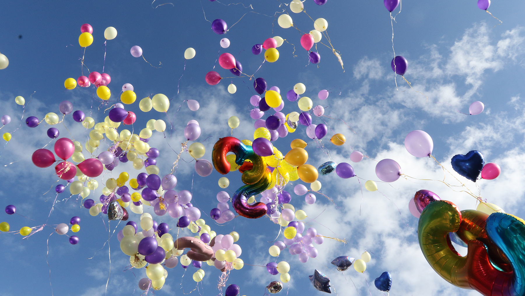 Balloons released at vigil for Limerick woman killed in dog attack