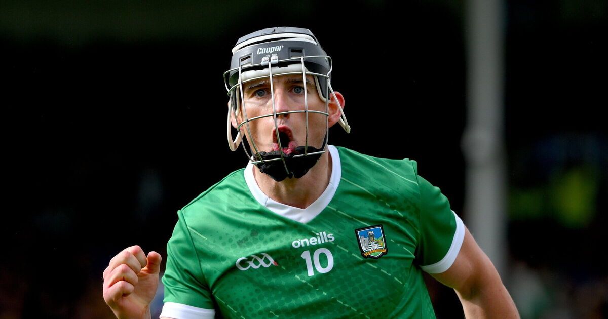 Limerick make history with Munster final win over Clare 
