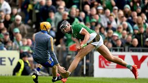 <p>FINDING THE GAP: Gearóid Hegarty scores Limerick’s first goal past Clare goalkeeper Eibhear Quilligan during the Munster SHC final at FBD Semple Stadium.	<span class="contextmenu emphasis CaptionCredit">Picture: Brendan Moran/Sportsfile</span>
            </p>
