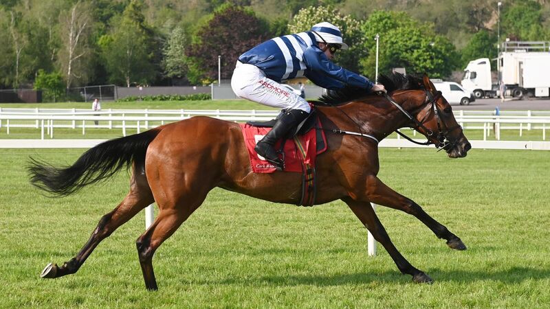 Roscommon preview: Churchfield Sunset can follow up with more joy