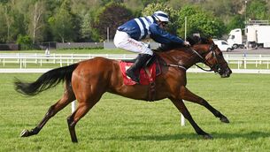 <p>Churchfield Sunset and John Gleeson win the Irish Stallion Farms EBF 4YO Fillies Flat Race at Cork last month. Picture: Healy Racing</p>