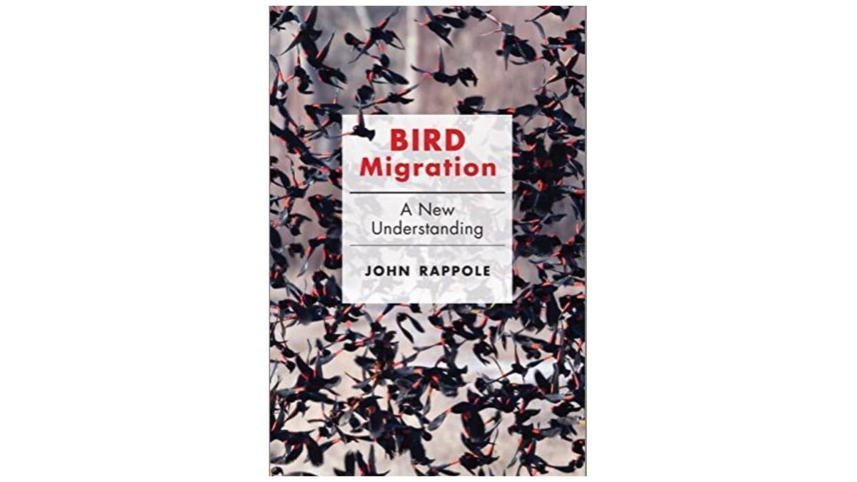 Bird Migration: A New Understanding by John Rappole