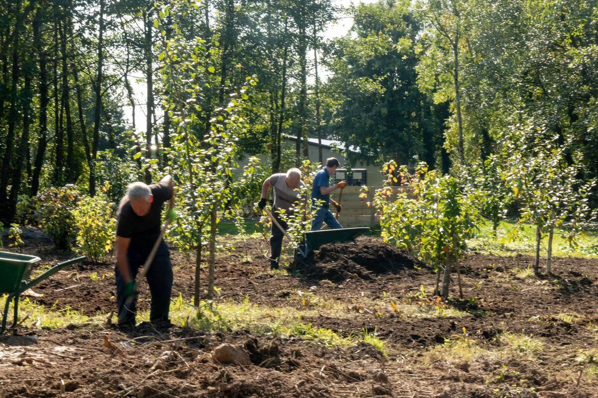 Hard at work: Ennis Men's Shed members, Gerry, Viesturs, and Austin Hard at work: Ennis Men's Shed members, Gerry, Viesturs, and Austin