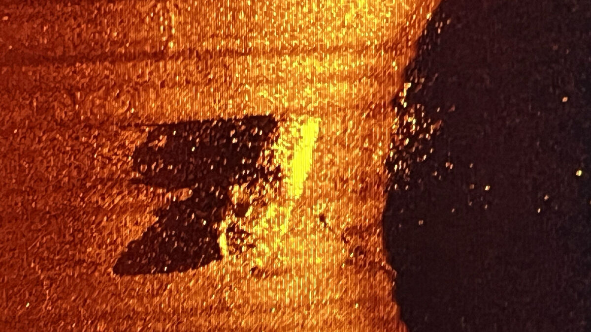Shipwreck of Ernest Shackleton's 'last vessel' found off Canadian coast - Vimarsana News