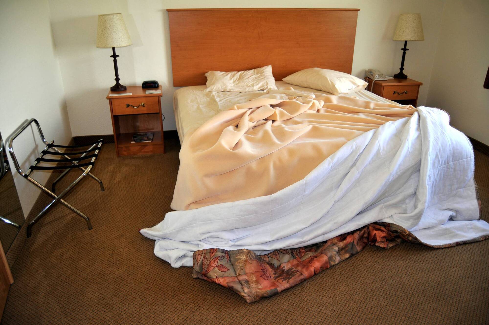 Fáilte Ireland reports fall in number of registered tourist beds being used by refugees