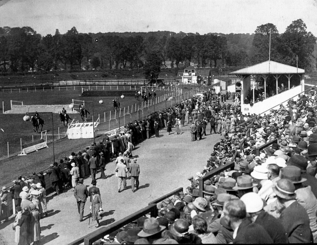 Cork Summer Show in 1929 from a book by K McCarthy called Munster Agricultural Society and the Story of the Cork Showgrounds