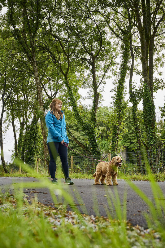 Take a walk along the Greenway.