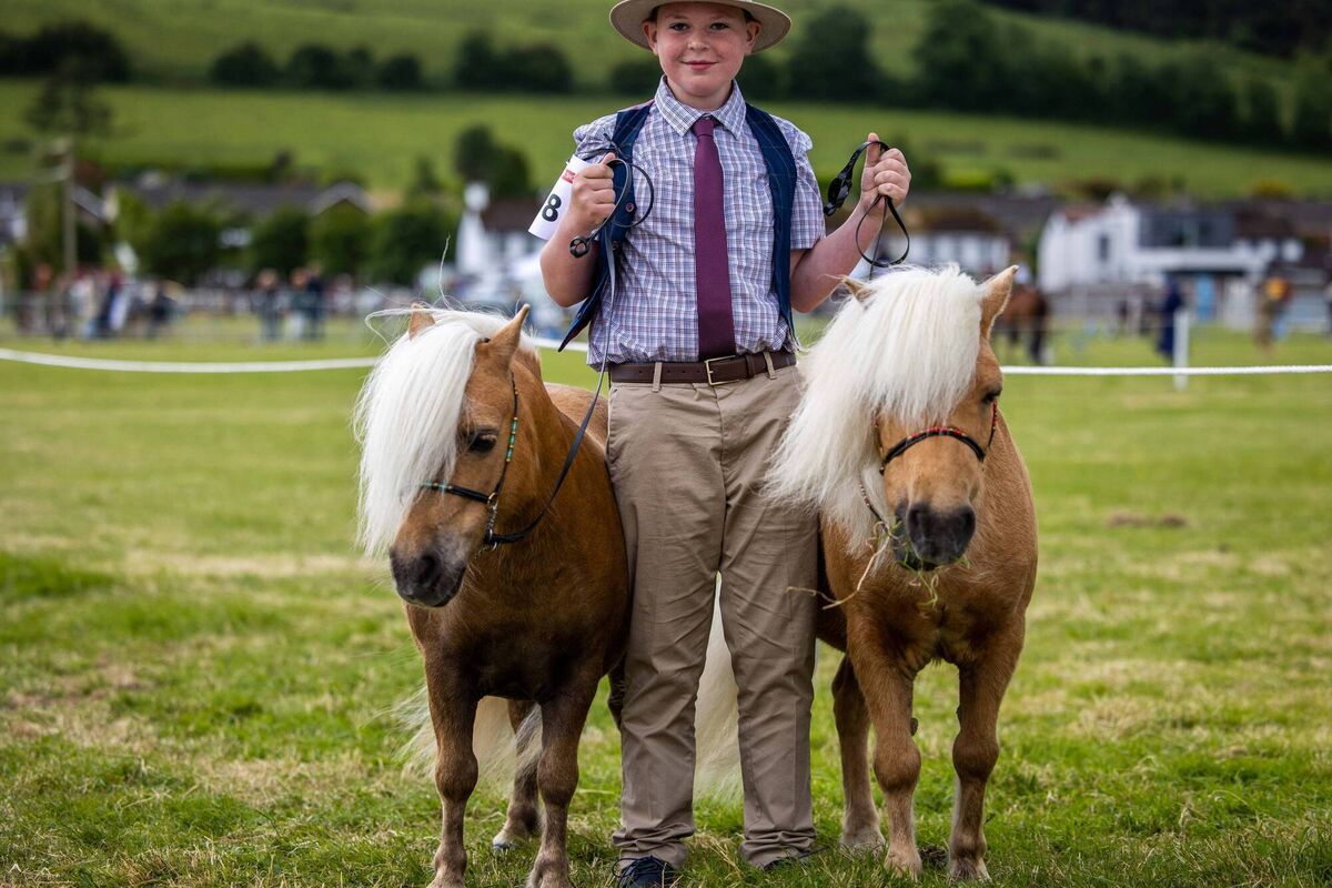Oisin Griffin of Kilarney with his miniature Shetland Ponies pictured competing at the Cork Summer Show Picture Clare Keogh Oisin Griffin of Kilarney with his miniature Shetland Ponies pictured competing at the Cork Summer Show Picture Clare Keogh