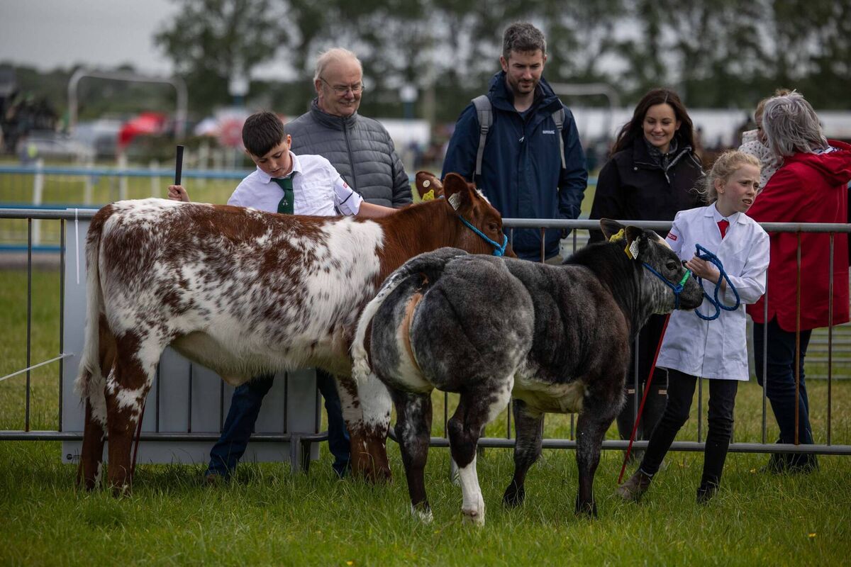 Chloe Hegarty pictured competing at the Cork Summer Show Picture Clare Keogh Chloe Hegarty pictured competing at the Cork Summer Show Picture Clare Keogh