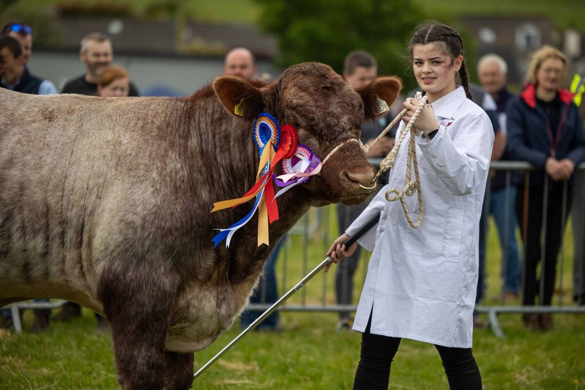 Zoe Salter pictured competing at the Cork Summer Show . Picture Clare Keogh Zoe Salter pictured competing at the Cork Summer Show . Picture Clare Keogh