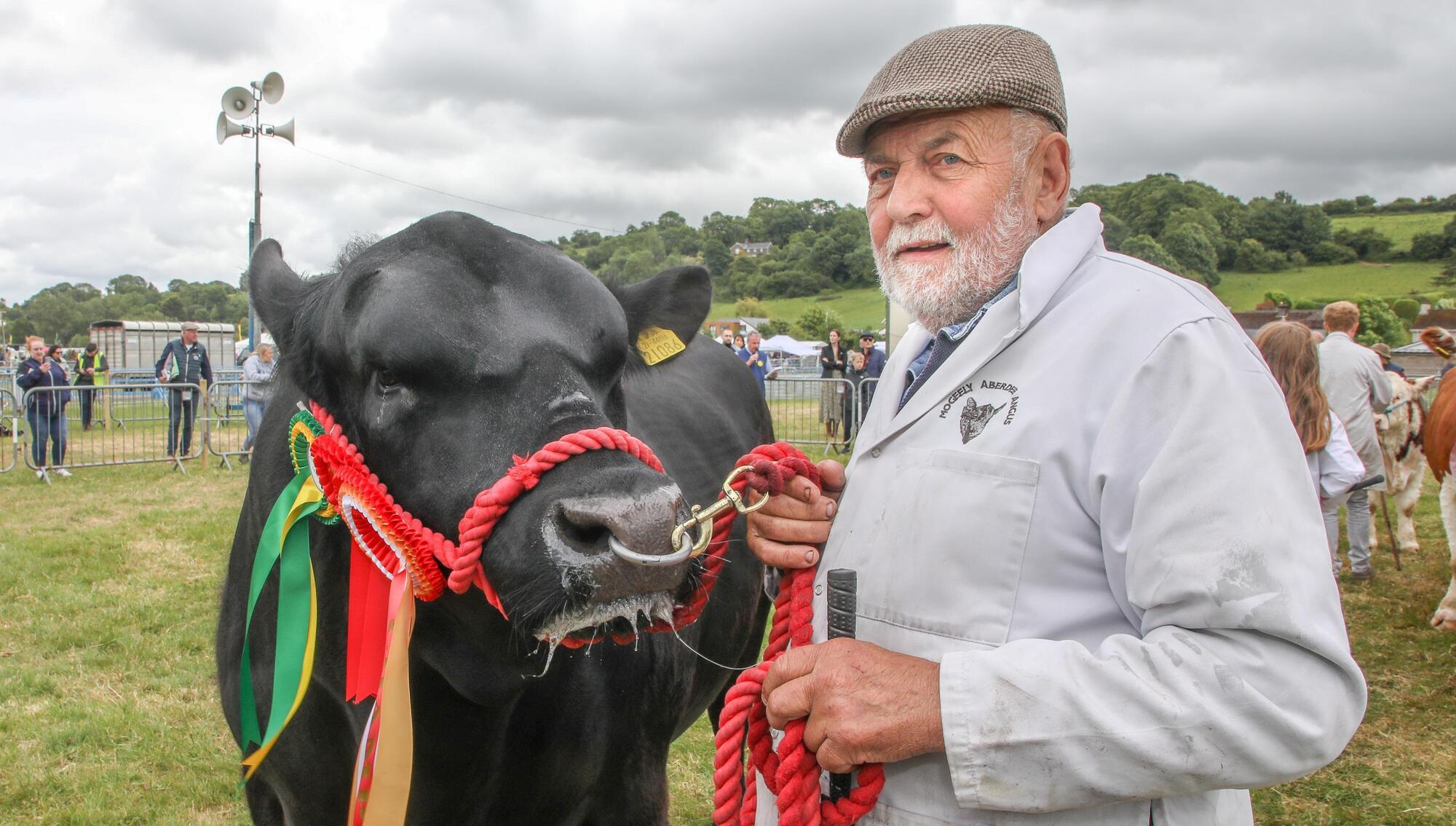 ‘More than two centuries of history’: Rural life showcased as Cork Summer Show draws crowds