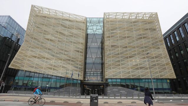<p>The firms were alleged to illegally offering loans and investment services. </p>